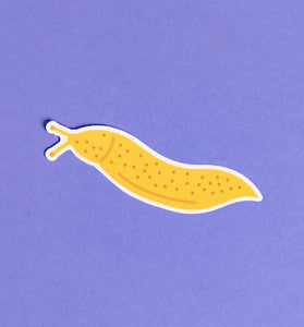 Banana Slug sticker