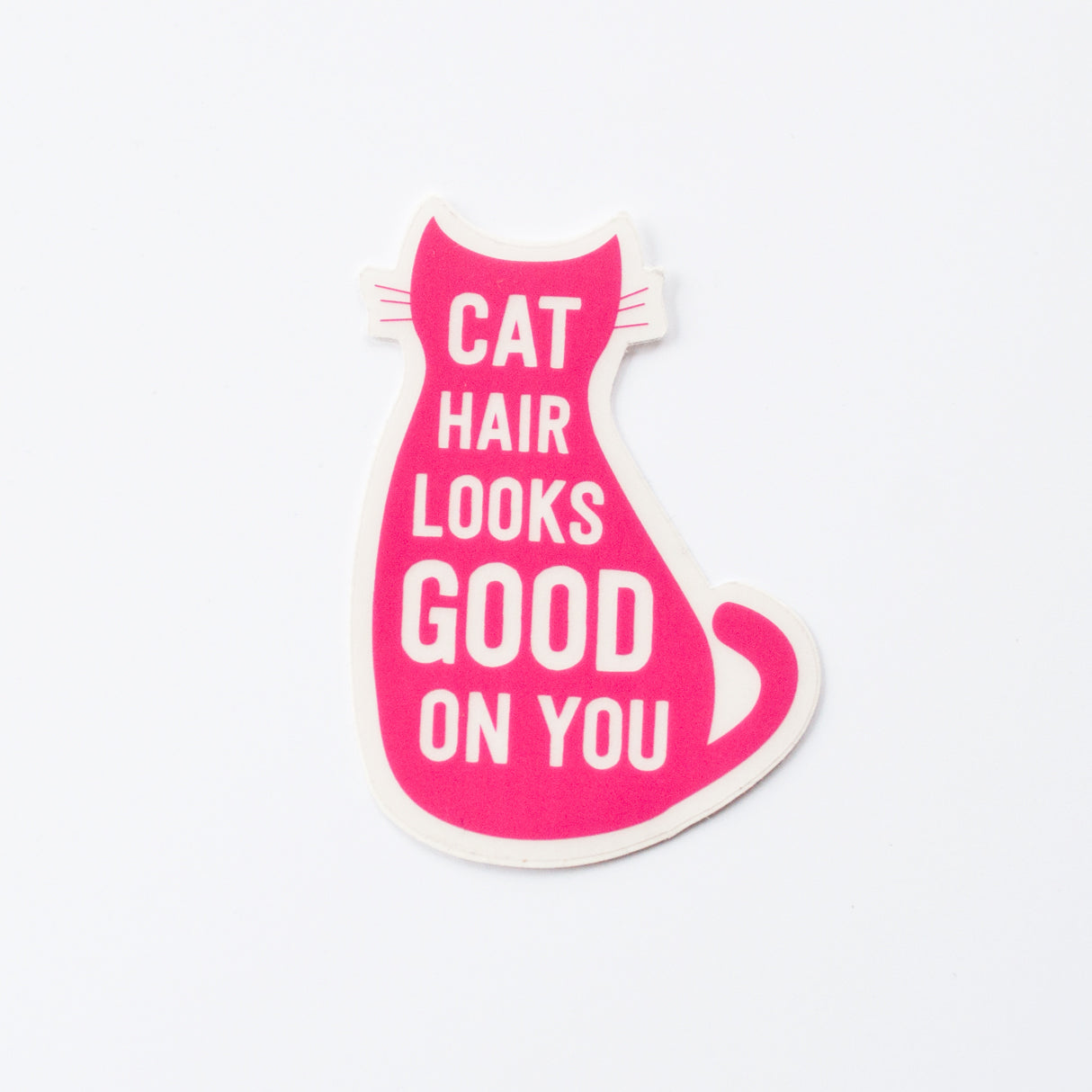 Cat Hair sticker